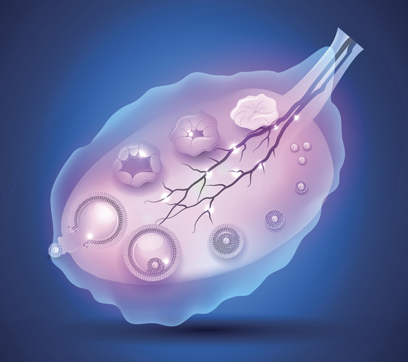 2026年南宁辅助生殖医院实力分析：广西医科大学附属医院等机构备受关注，附LGBT群体生育咨询指南